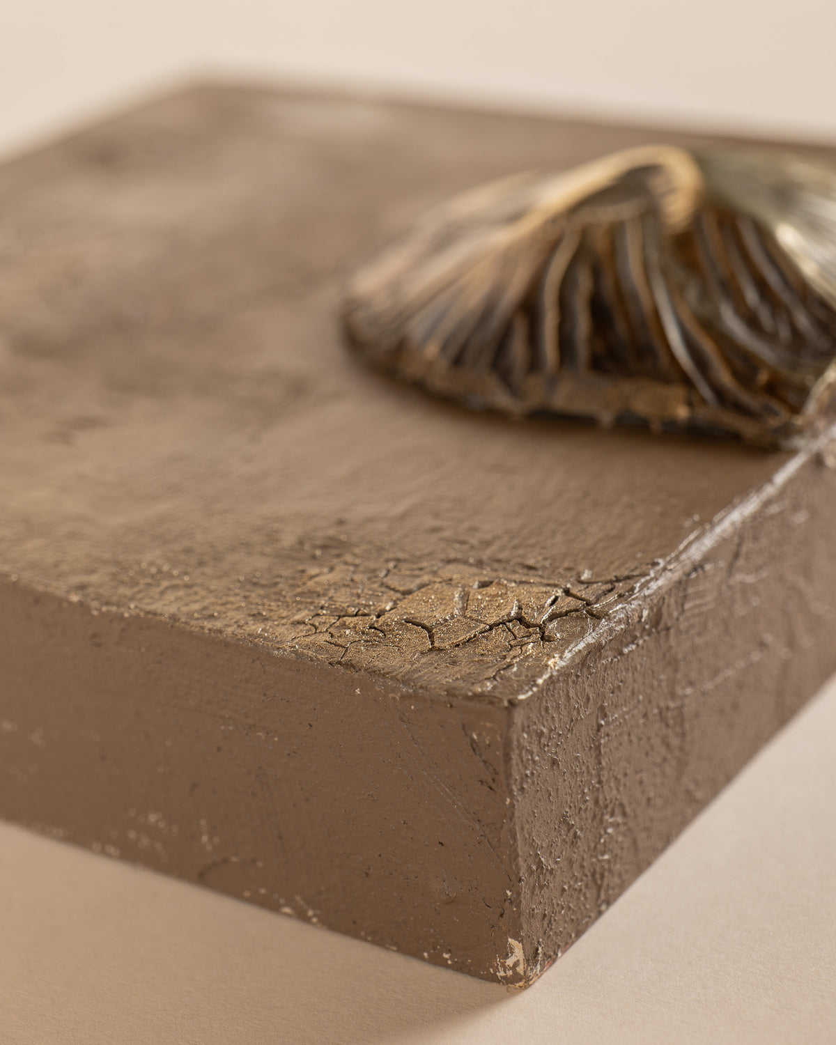 Terra Series 005, additional view 05