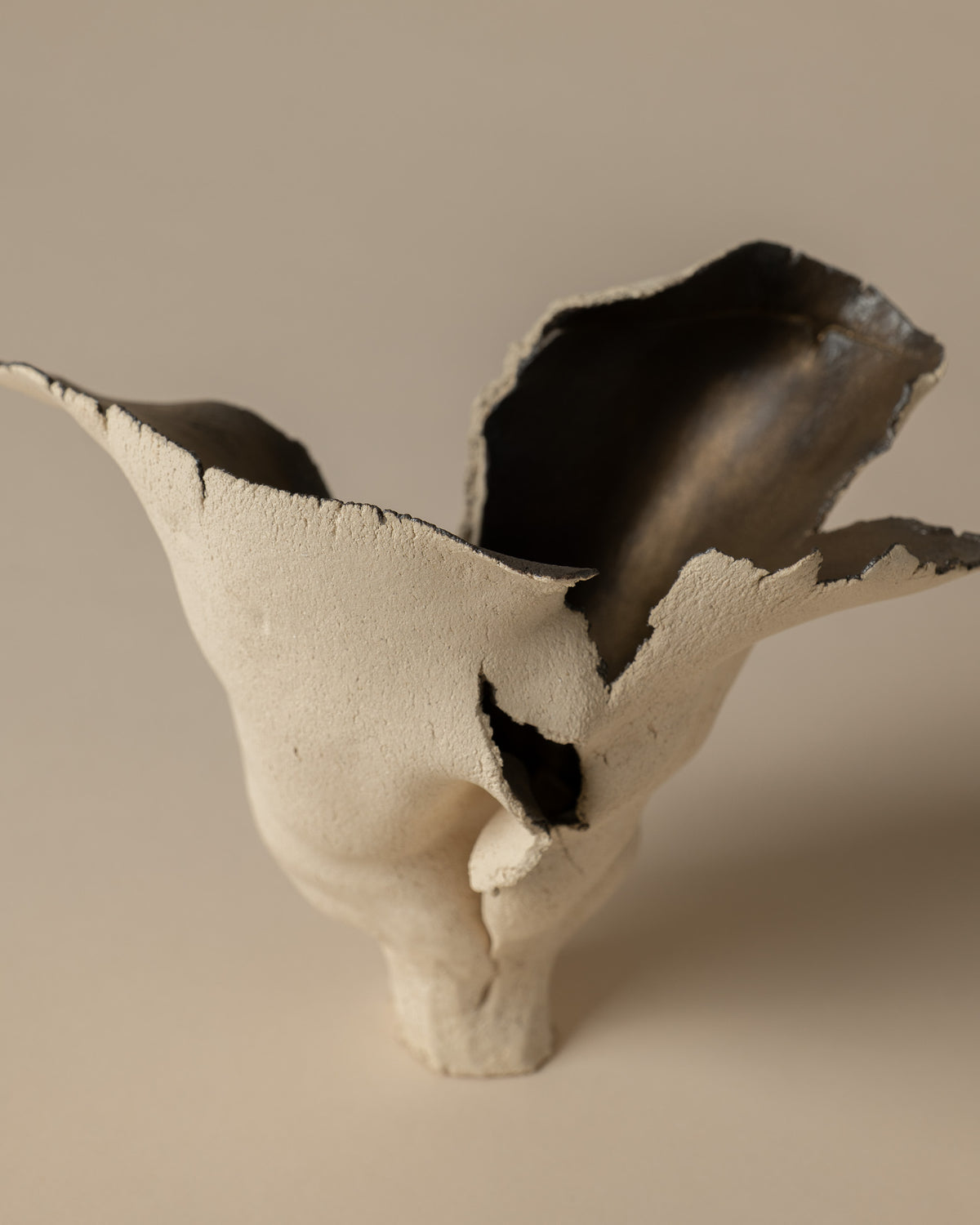 Vessel 001 in Powder, additional view 04