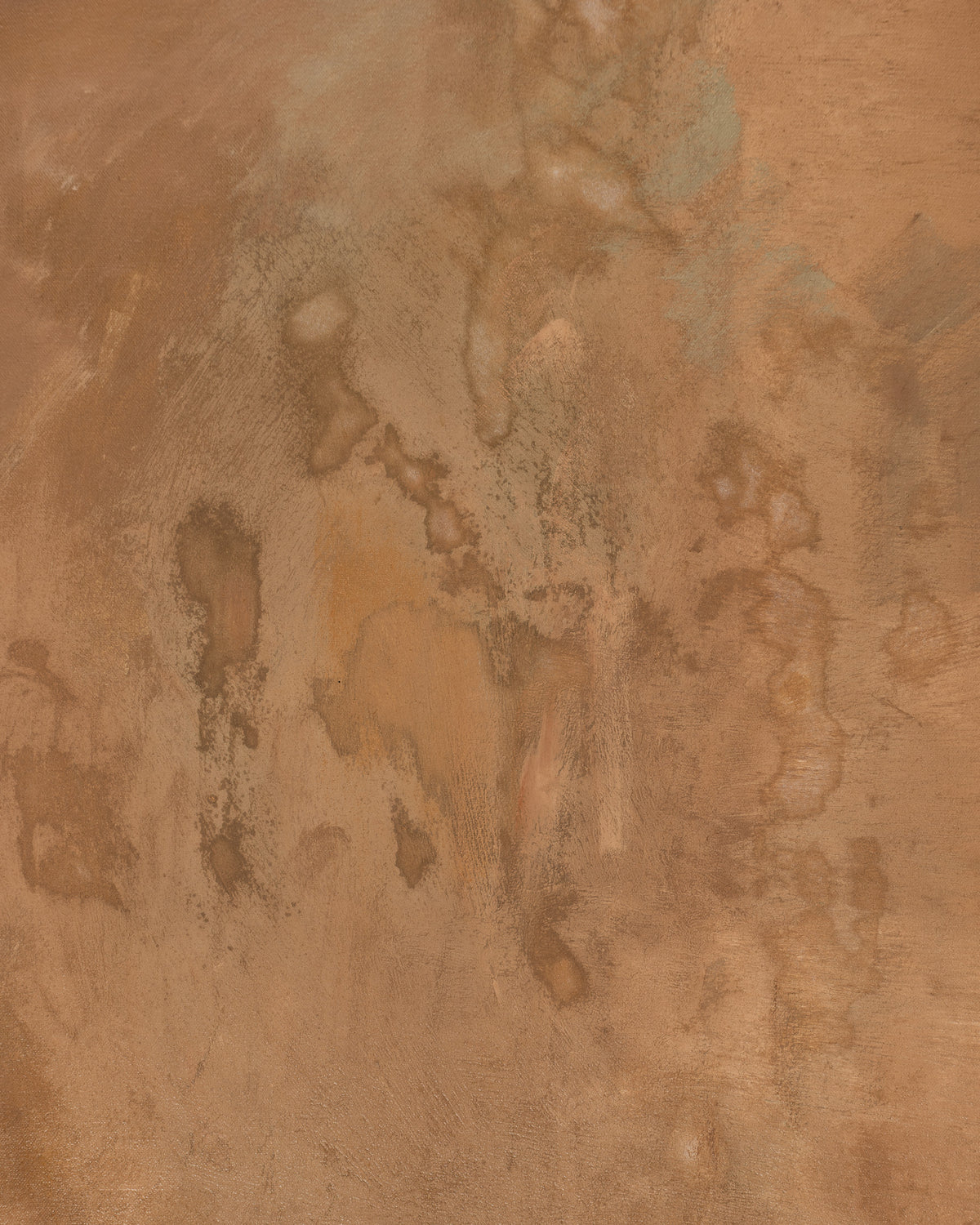 Where the Desert Wakes, additional view 08
