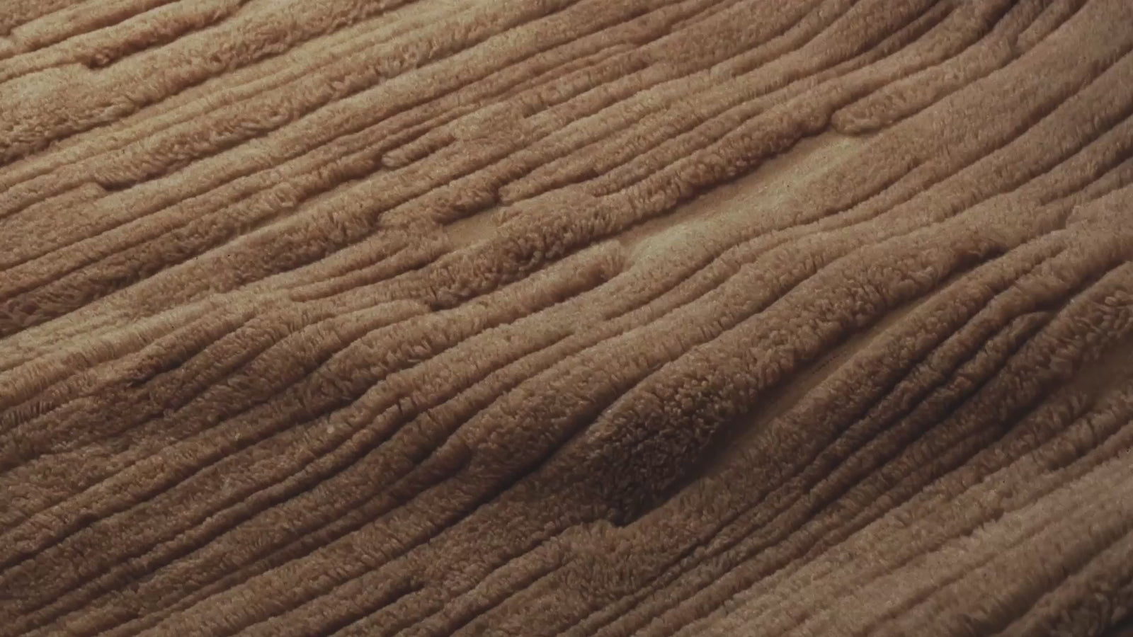 Anne-Marie Barton rug collection